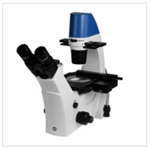 میکروسکوپ اینورت فازکنتراست ساخت کمپانی EUROMEX هلند